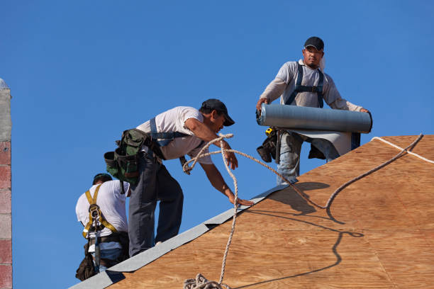 Roof Gutter Cleaning in Oyster Bay Cove, NY